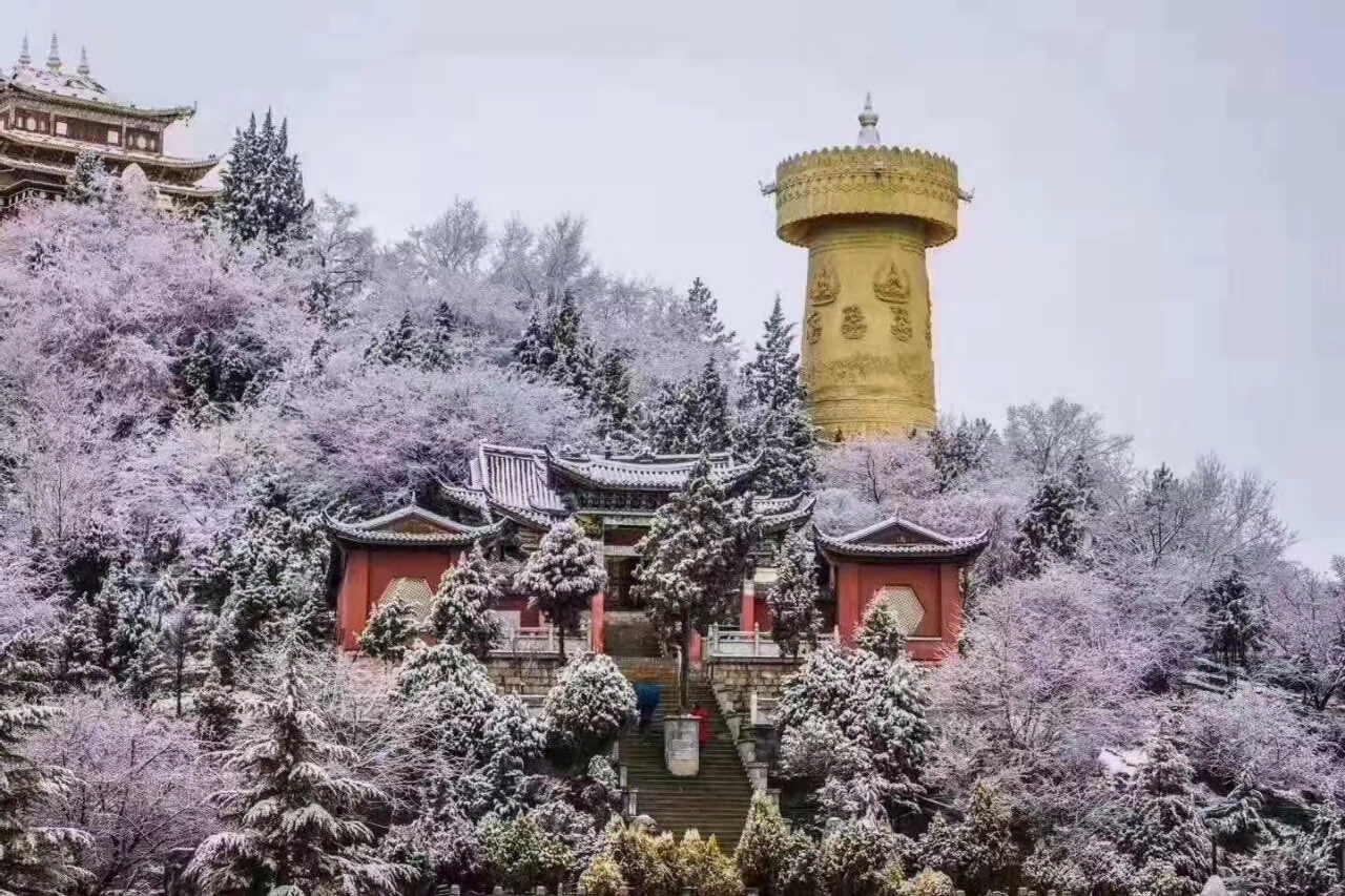香格里拉：一個(gè)被旅游耽誤的“美食高地”（二）