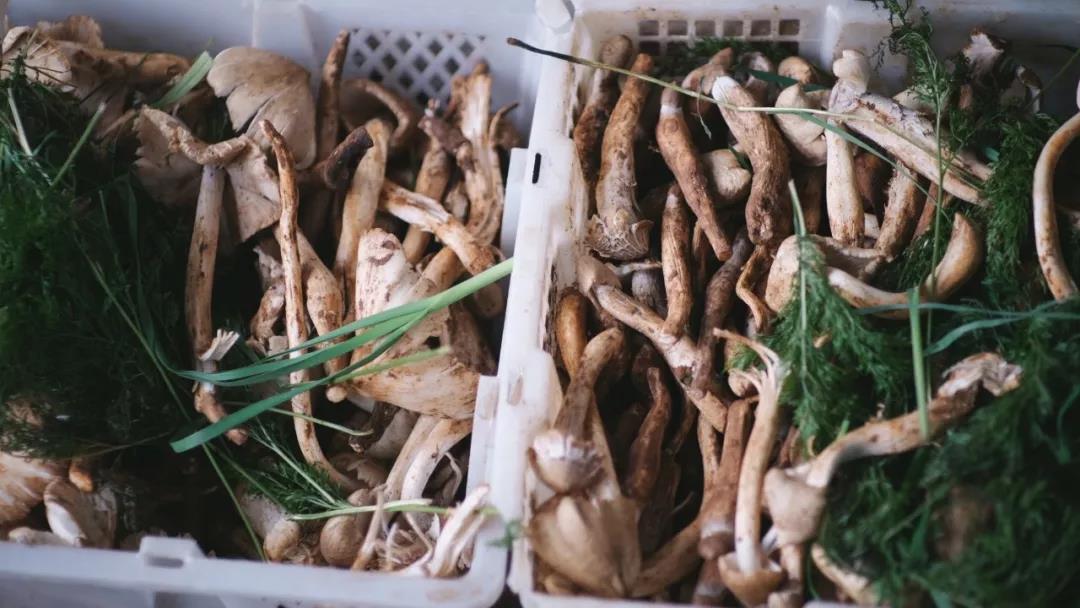 香格里拉美食推薦