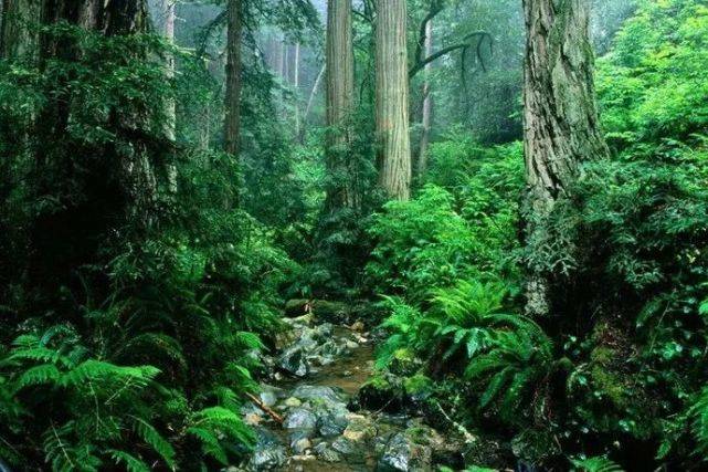 香格里拉研學旅行營