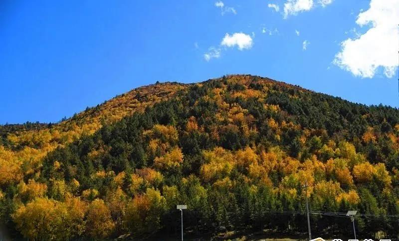 香格里拉五鳳山五彩秋景等您來