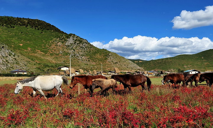 研學旅行中，學習是怎樣發生的？ 