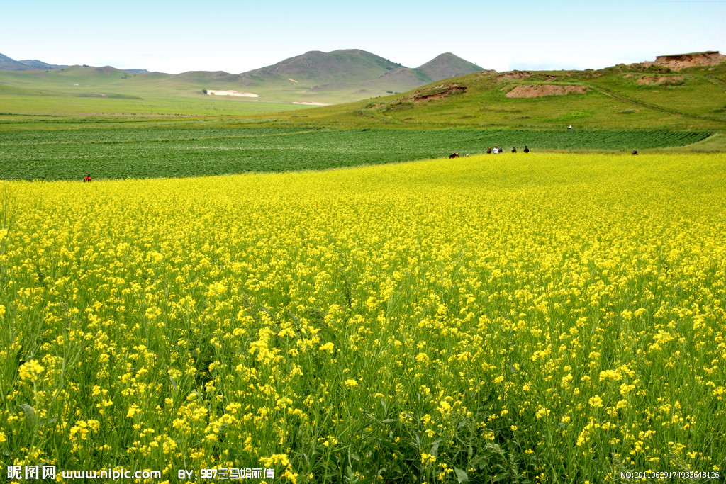 帶你了解四類研學(xué)旅游基地類型 