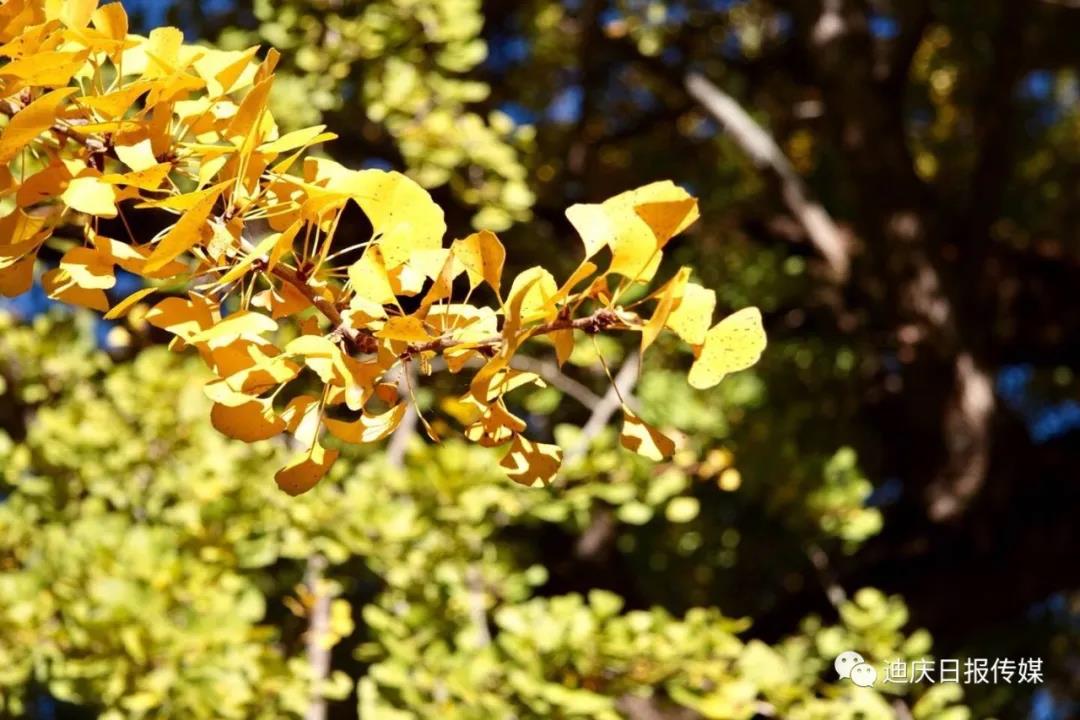 塔城：好風(fēng)景湛藍(lán)的天空、潔白的云朵