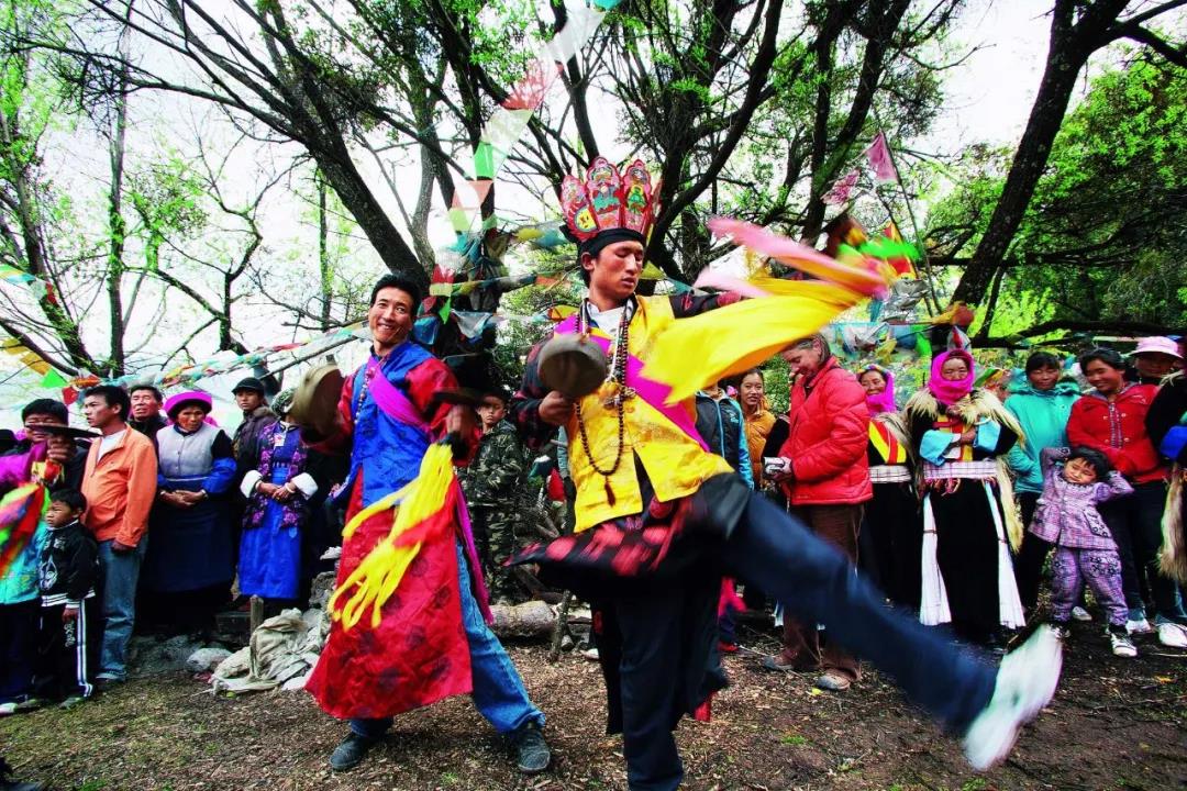 三朵節麗江人民您來香格里拉了嗎？