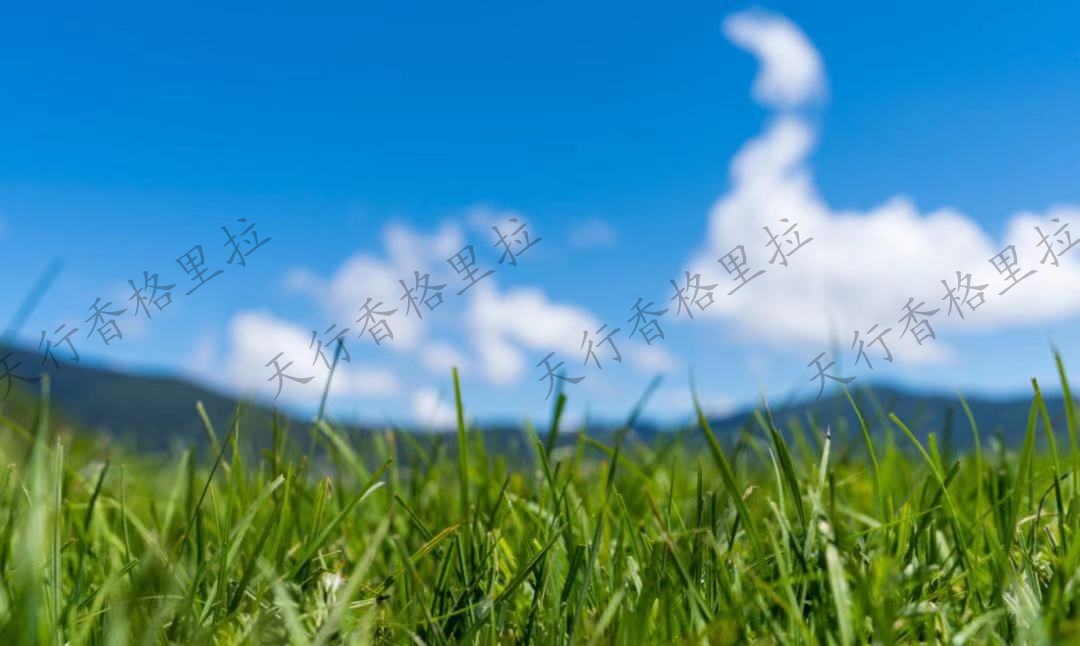 選個(gè)晴天，到香格里拉高山牧場(chǎng)體驗(yàn)愜意時(shí)光吧