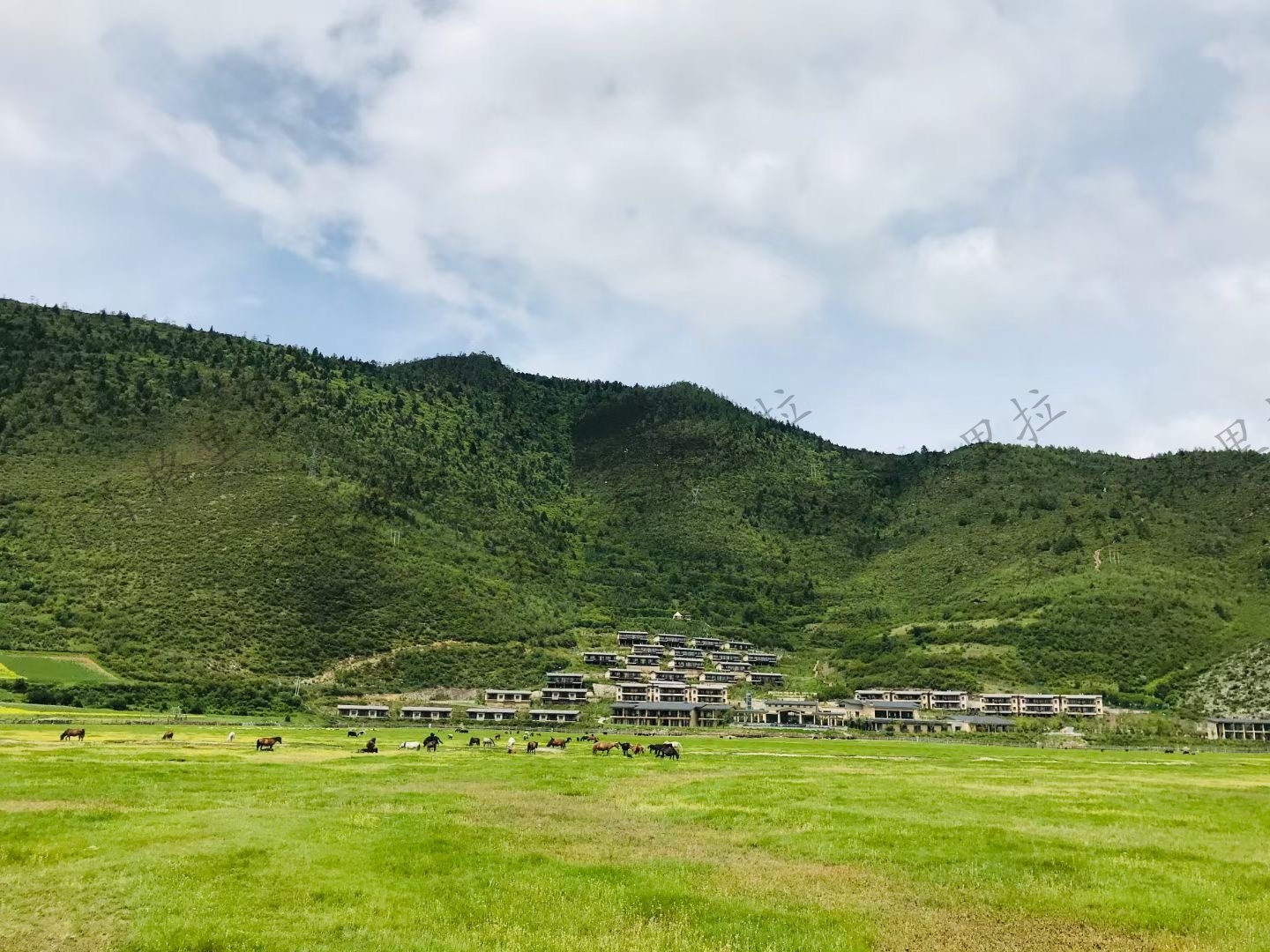 碧塔海重新恢復開放  香格里拉普達措國家公園景區2021年8月10日最新門票信息公告