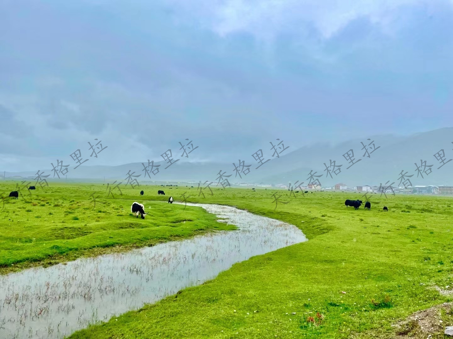 香格里拉網紅公路打卡戶外騎行團建