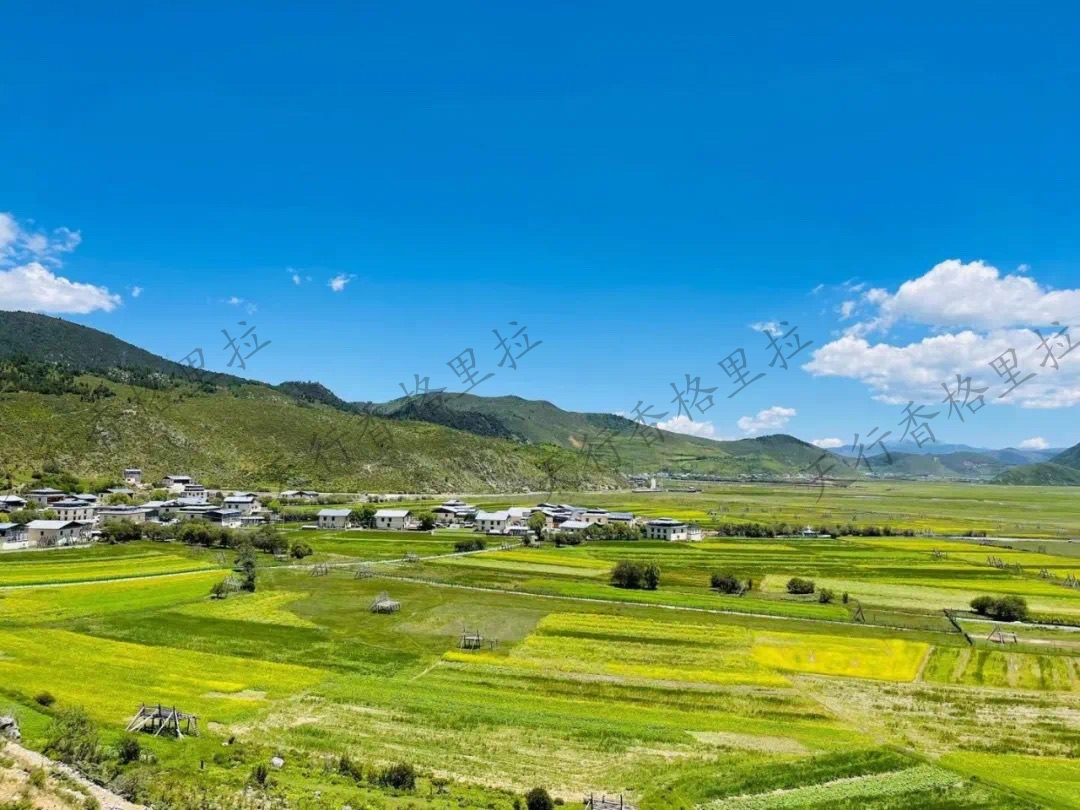 香格里拉網紅公路打卡戶外騎行團建