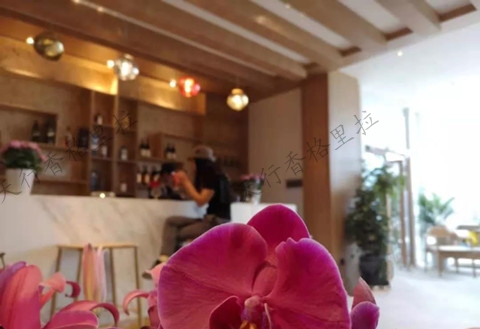 騰悅梅里精品酒店