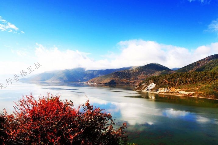 納帕海自然保護(hù)區(qū) 納帕海自然保護(hù)區(qū)