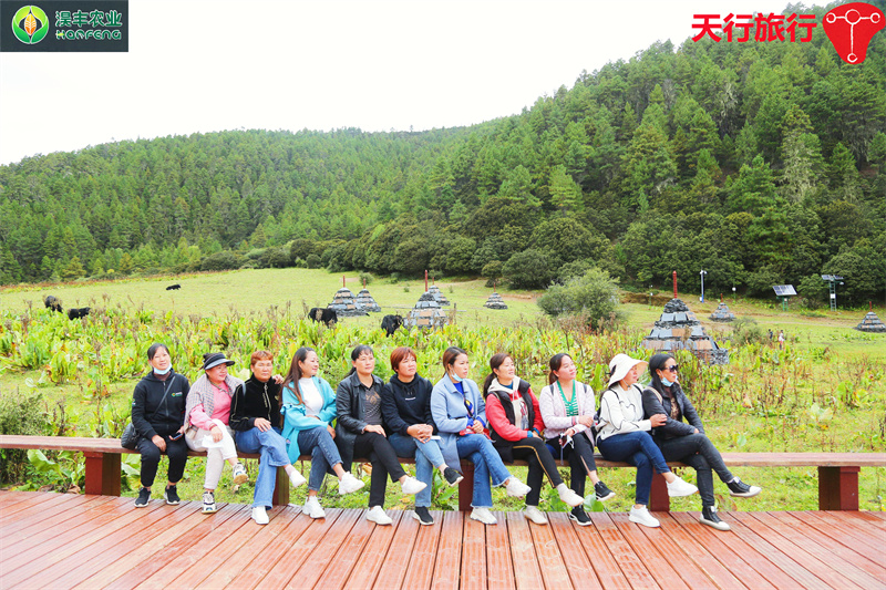 云南香格里拉主題團建旅行