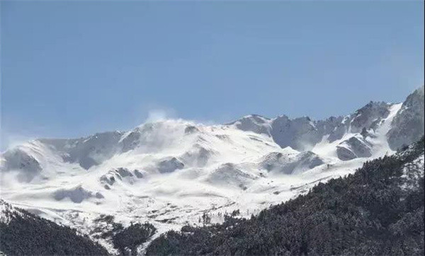 冬季的白馬雪山，一席白色的“盛宴”！