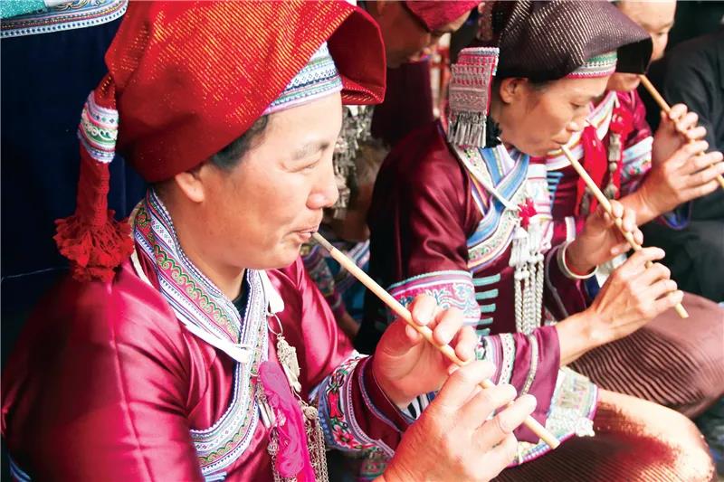 蟲繭巴烏：來自大自然的壯鄉樂器     香格里拉旅游攻略