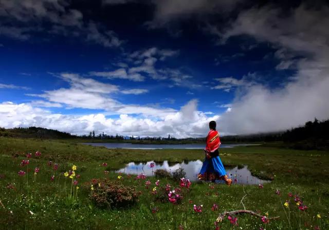 五月的香格里拉將變成一片花海，美若天堂，你不去看看？     香格里拉旅游景點