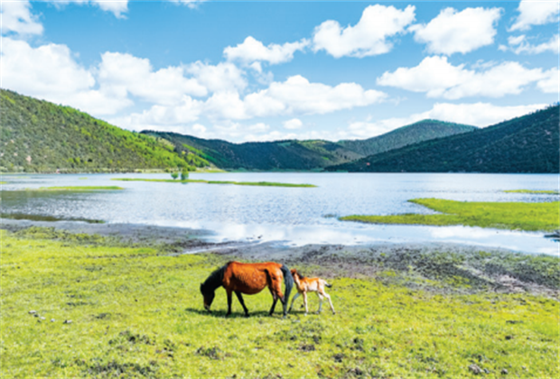 香格里拉旅游 香格里拉研學旅行 文化 | 歲月無聲 時光不語 一起感受迪慶非遺之美！