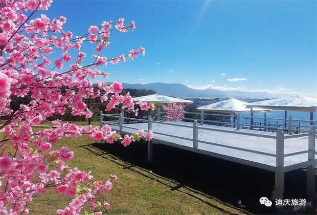 “村中有林，林中有村”| 香格里拉鼐思·碧水藍天鄉村旅游歡迎你