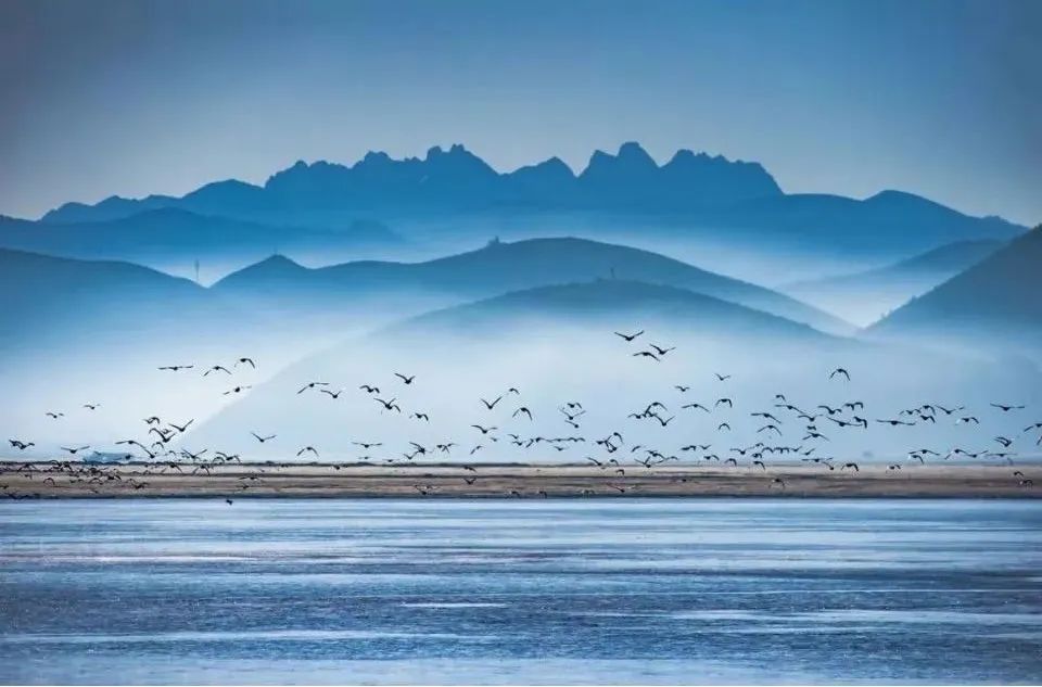 納帕海